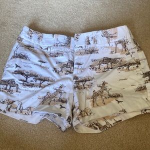 Safari shorts